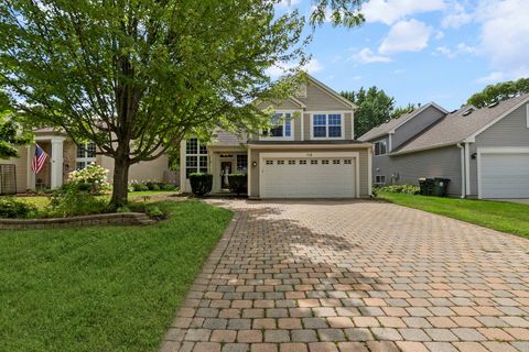 Photo of 113 E Big Horn Drive, Hainesville, IL 60030 (MLS # 12452823)