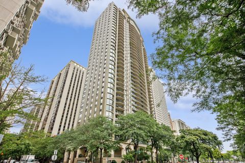 1040 N LAKE SHORE Drive 9A Chicago IL 60611