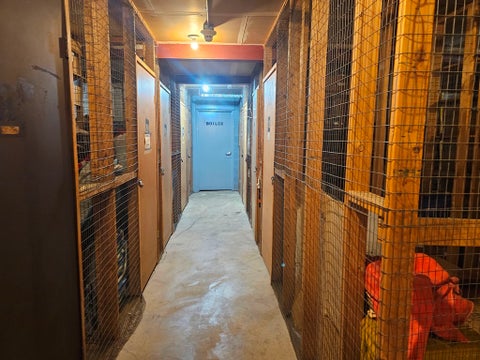 Tiny photo for 974 Thornton Lane #212, Buffalo Grove, IL 60089 (MLS # 12752179)