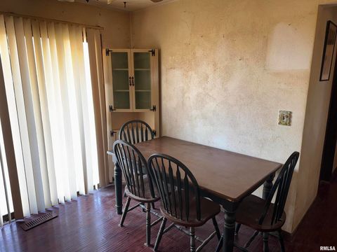 Tiny photo for 28597 ROPP Road, Geneseo, IL 61254 (MLS # QC4270026)