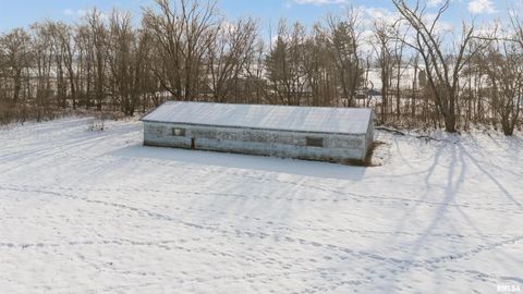 Tiny photo for 28597 ROPP Road, Geneseo, IL 61254 (MLS # QC4270026)
