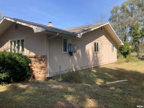 Tiny photo for 28597 ROPP Road, Geneseo, IL 61254 (MLS # QC4270026)