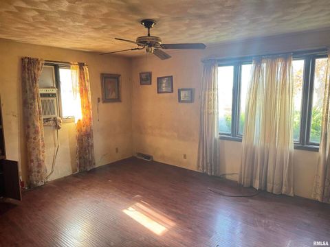 Tiny photo for 28597 ROPP Road, Geneseo, IL 61254 (MLS # QC4270026)