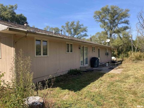 Tiny photo for 28597 ROPP Road, Geneseo, IL 61254 (MLS # QC4270026)