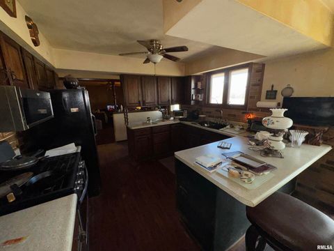 Tiny photo for 28597 ROPP Road, Geneseo, IL 61254 (MLS # QC4270026)