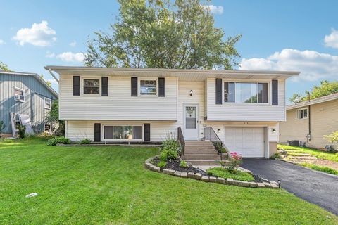 313 Crest Drive Cary IL 60013