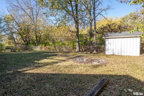 Tiny photo for 313 N 20TH Street, East Moline, IL 61244 (MLS # QC4269077)