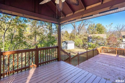 Tiny photo for 313 N 20TH Street, East Moline, IL 61244 (MLS # QC4269077)