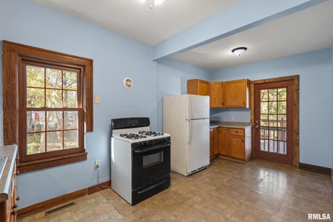 Tiny photo for 313 N 20TH Street, East Moline, IL 61244 (MLS # QC4269077)