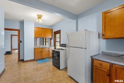 Tiny photo for 313 N 20TH Street, East Moline, IL 61244 (MLS # QC4269077)