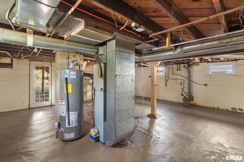 Tiny photo for 313 N 20TH Street, East Moline, IL 61244 (MLS # QC4269077)