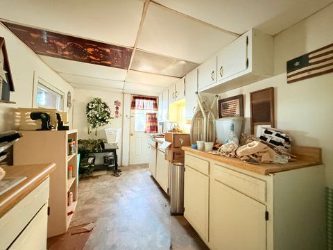 Tiny photo for 62 Alley Cat Lane, Golconda, IL 62938 (MLS # 12578585)