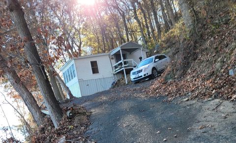 Tiny photo for 62 Alley Cat Lane, Golconda, IL 62938 (MLS # 12578585)