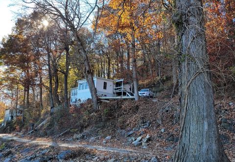 Tiny photo for 62 Alley Cat Lane, Golconda, IL 62938 (MLS # 12578585)