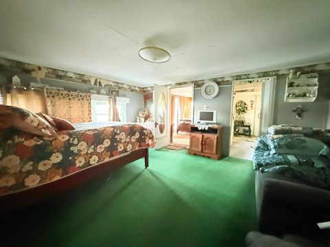 Tiny photo for 62 Alley Cat Lane, Golconda, IL 62938 (MLS # 12578585)