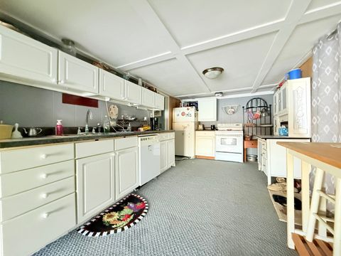 Tiny photo for 62 Alley Cat Lane, Golconda, IL 62938 (MLS # 12578585)