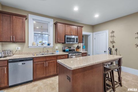 Tiny photo for 544 23RD Street, RockIsland, IL 61201 (MLS # QC4269794)