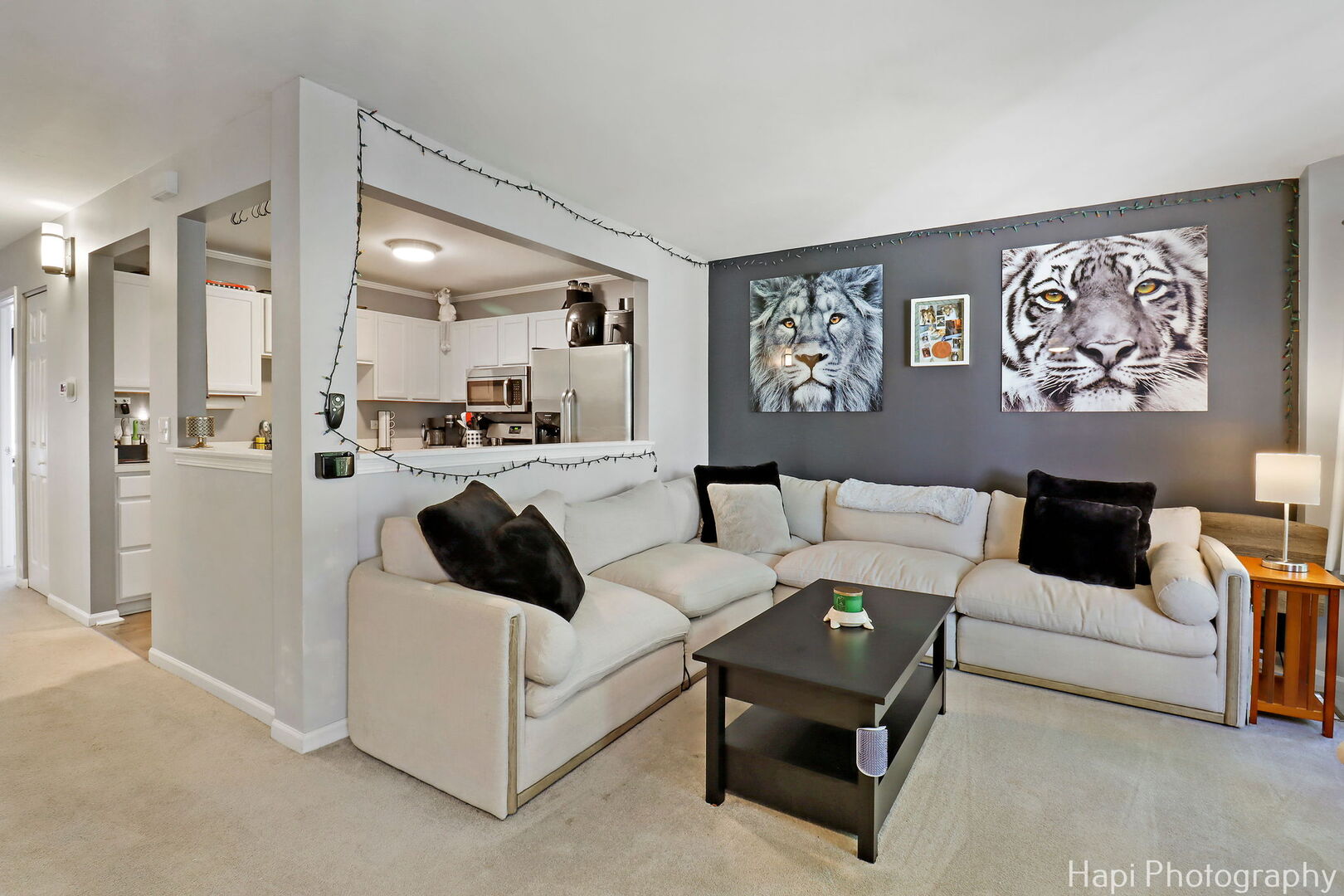 337 W Treehouse Lane 11-2