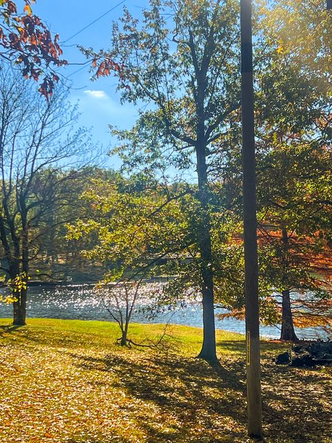 Tiny photo for 381 County Road 100 E Lot 14, Norris City, IL 62869 (MLS # 12559967)