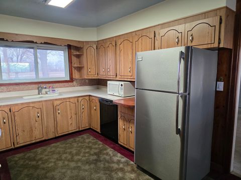 Tiny photo for 705 W Commercial Street, Lyndon, IL 61261 (MLS # 12636010)