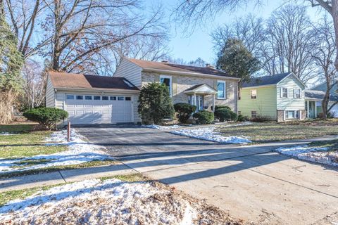 Photo of 719 Webster Street, Algonquin, IL 60102 (MLS # 12562752)