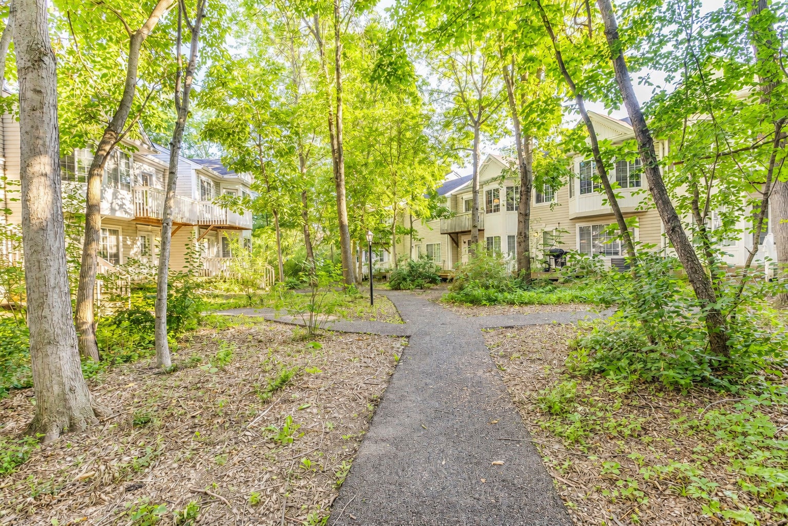 267 W Treehouse Lane