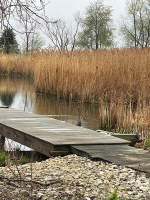 Tiny photo for 1737 E 1700 North Road, Watseka, IL 60970 (MLS # 12726501)