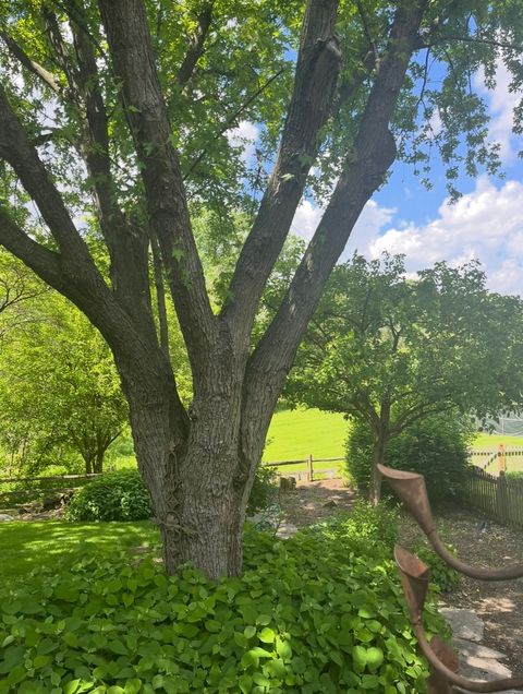 Tiny photo for 309 Carriage Hill Road, Naperville, IL 60565 (MLS # 12546617)