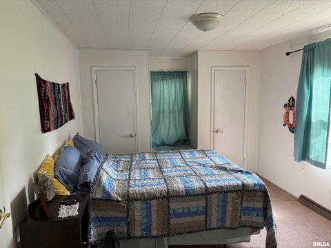 Tiny photo for 1010 W Walkup Avenue, Carbondale, IL 62901 (MLS # EB460278)