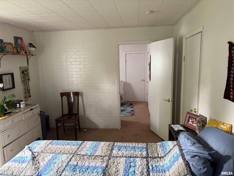 Tiny photo for 1010 W Walkup Avenue, Carbondale, IL 62901 (MLS # EB460278)