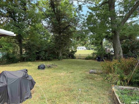 Tiny photo for 1010 W Walkup Avenue, Carbondale, IL 62901 (MLS # EB460278)