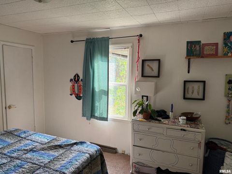 Tiny photo for 1010 W Walkup Avenue, Carbondale, IL 62901 (MLS # EB460278)