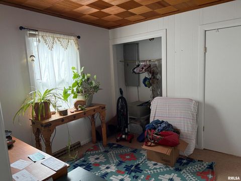 Tiny photo for 1010 W Walkup Avenue, Carbondale, IL 62901 (MLS # EB460278)