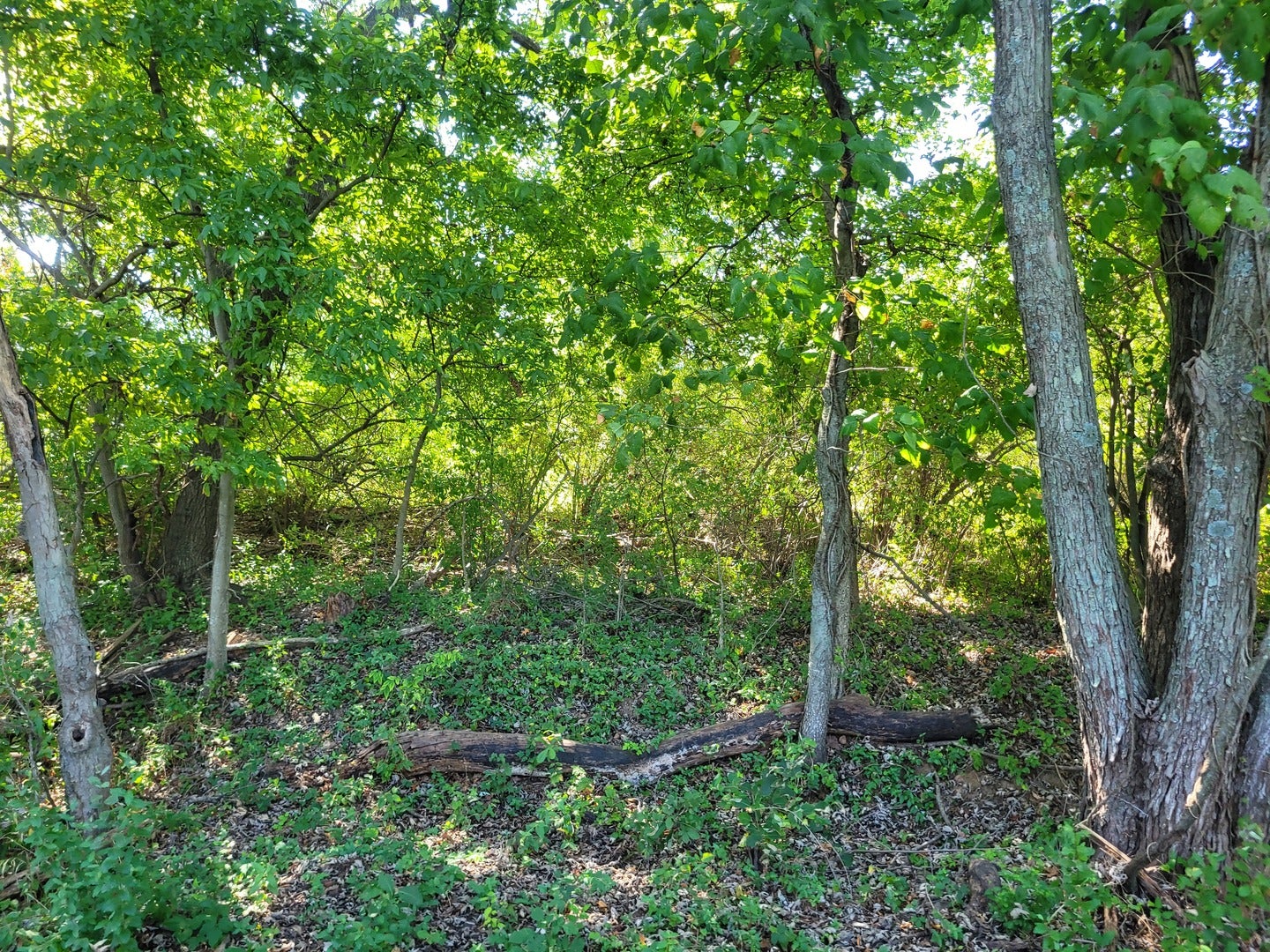 000 E Bunny Farm Road