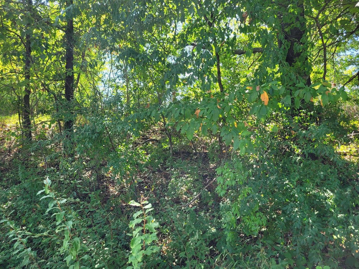 000 E Bunny Farm Road