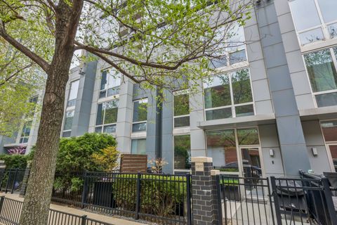 1917 S Calumet Avenue Chicago IL 60616