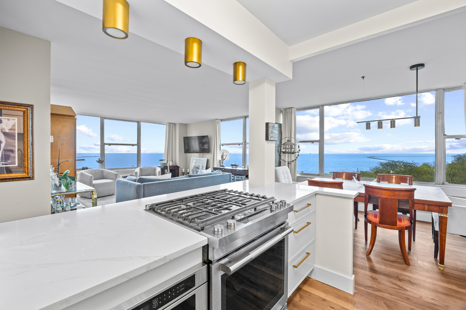 1000 N Lake Shore Drive 808