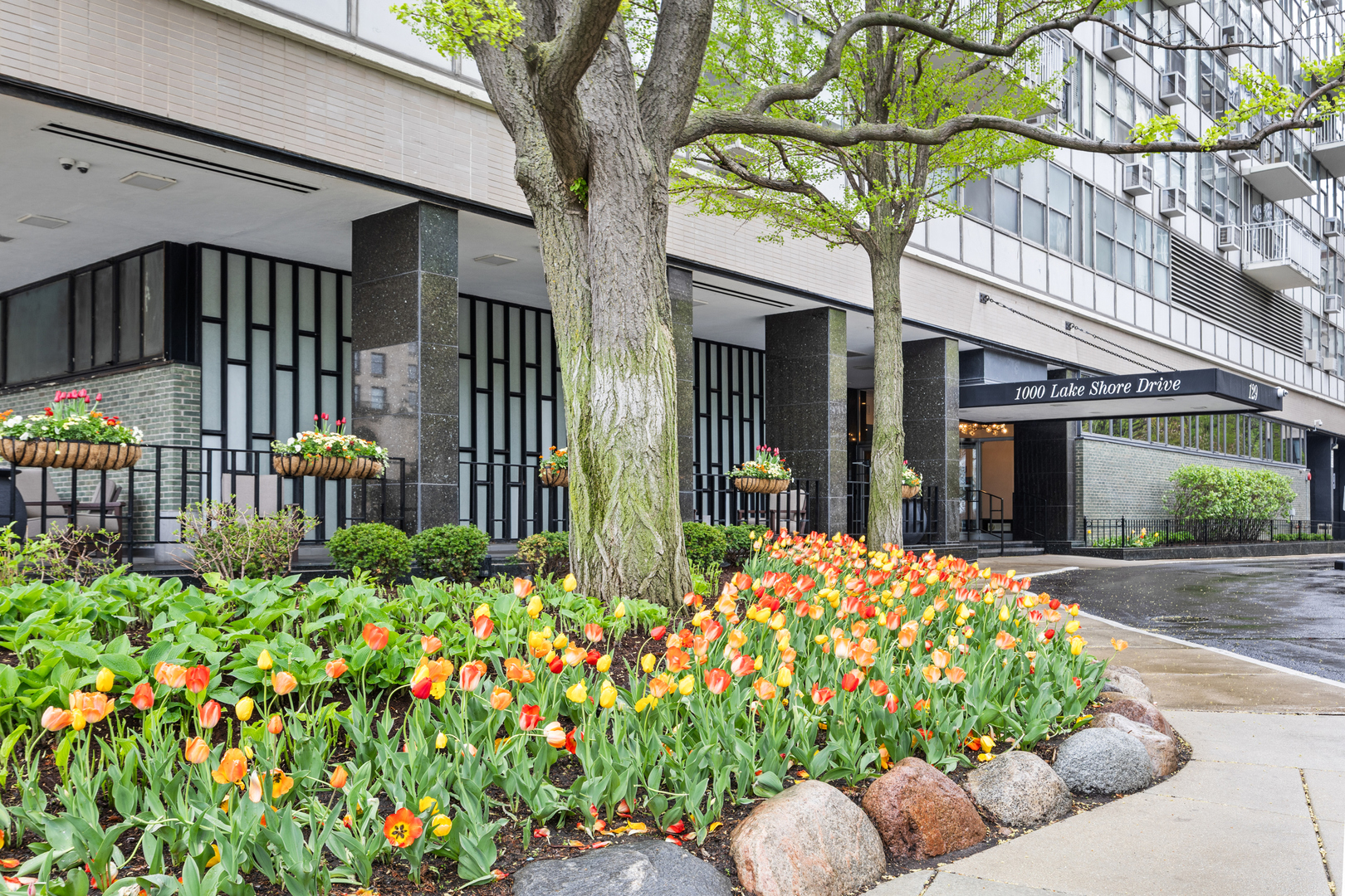 1000 N Lake Shore Drive 808