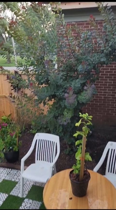 Tiny photo for 1449 Greenwood Avenue, Ford Heights, IL 60411 (MLS # 12545623)