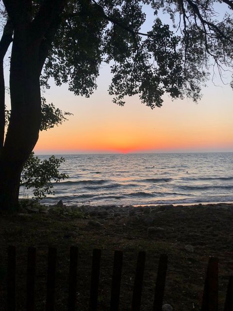 Tiny photo for 628 Sheridan Square #2, Evanston, IL 60202 (MLS # 12523356)