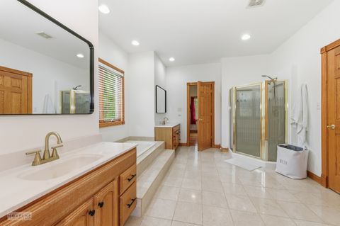 Tiny photo for 13220 Fox Lane, Lemont, IL 60439 (MLS # 12479272)