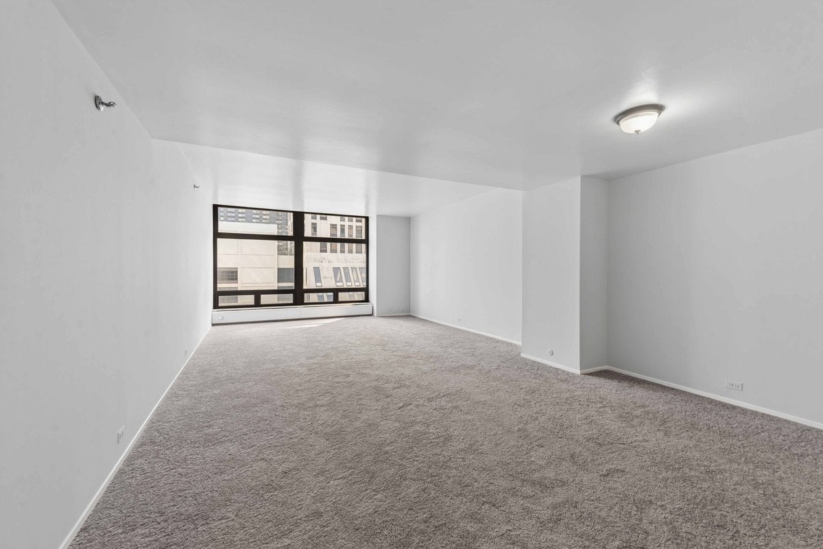 680 N Lake Shore Drive 1008