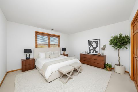 Tiny photo for 15510 W Nolan Court, Homer Glen, IL 60491 (MLS # 12516065)