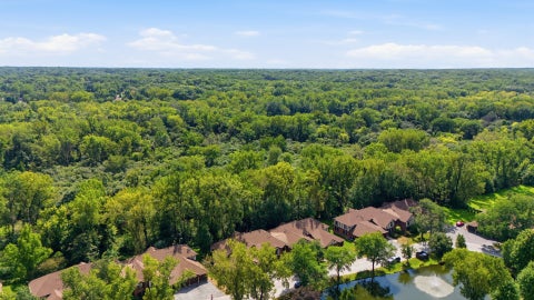 Tiny photo for 8215 Willow Drive #46D, Palos Hills, IL 60465 (MLS # 12743748)