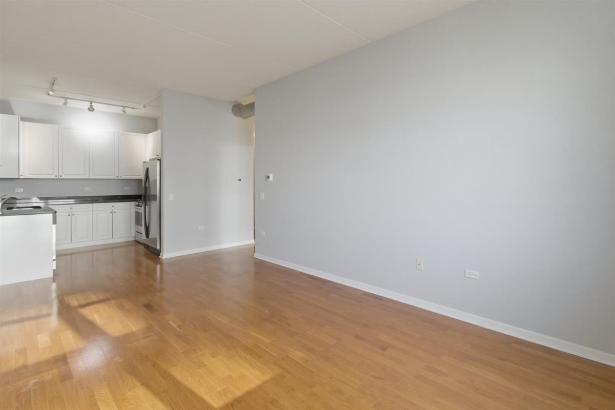 873 N Larrabee Street 507