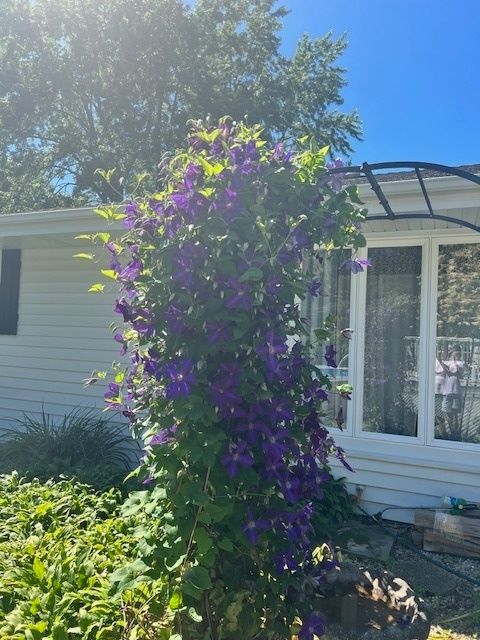 Tiny photo for 16240 W Diane Way, Manhattan, IL 60442 (MLS # 12465345)