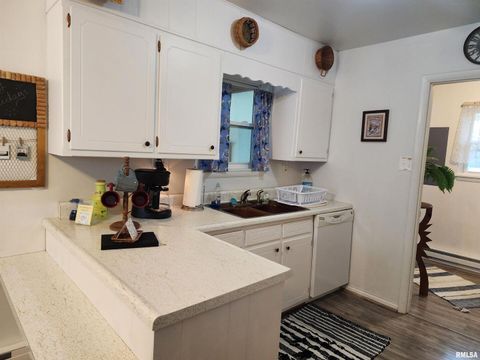 Tiny photo for 148 PEARL Street, Elizabethtown, IL 62931 (MLS # QC4261892)