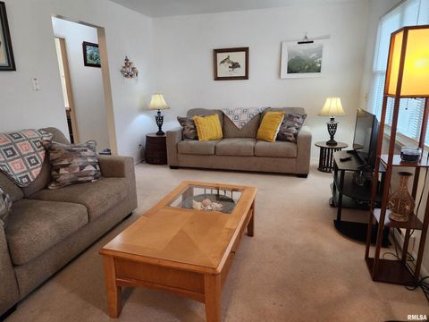 Tiny photo for 148 PEARL Street, Elizabethtown, IL 62931 (MLS # QC4261892)