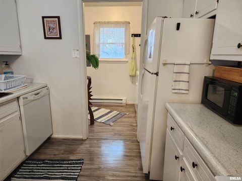 Tiny photo for 148 PEARL Street, Elizabethtown, IL 62931 (MLS # QC4261892)