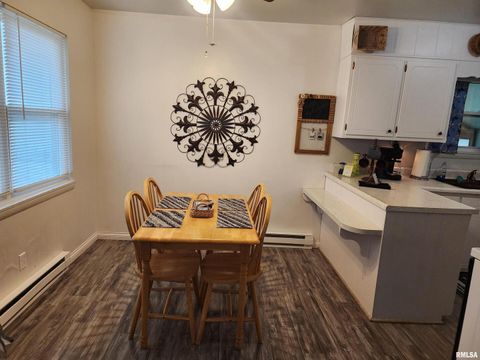 Tiny photo for 148 PEARL Street, Elizabethtown, IL 62931 (MLS # QC4261892)